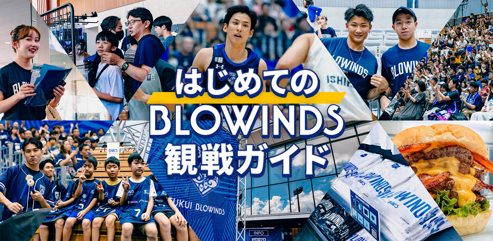はじめてのBLOWINS観戦ガイド