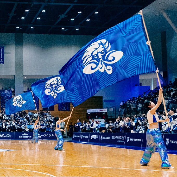 FLAG performance