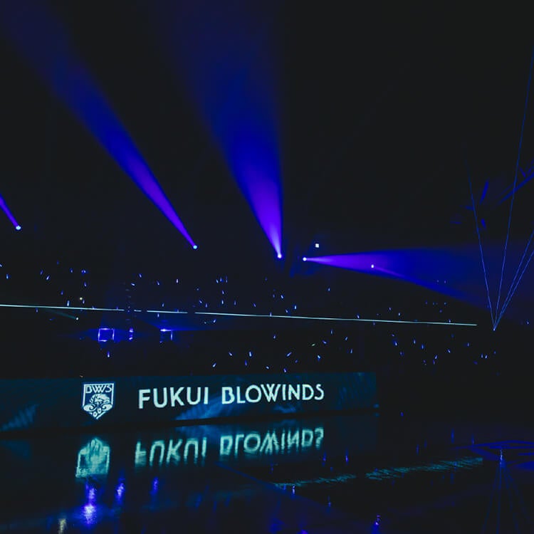 BLUE Light UP SHOW