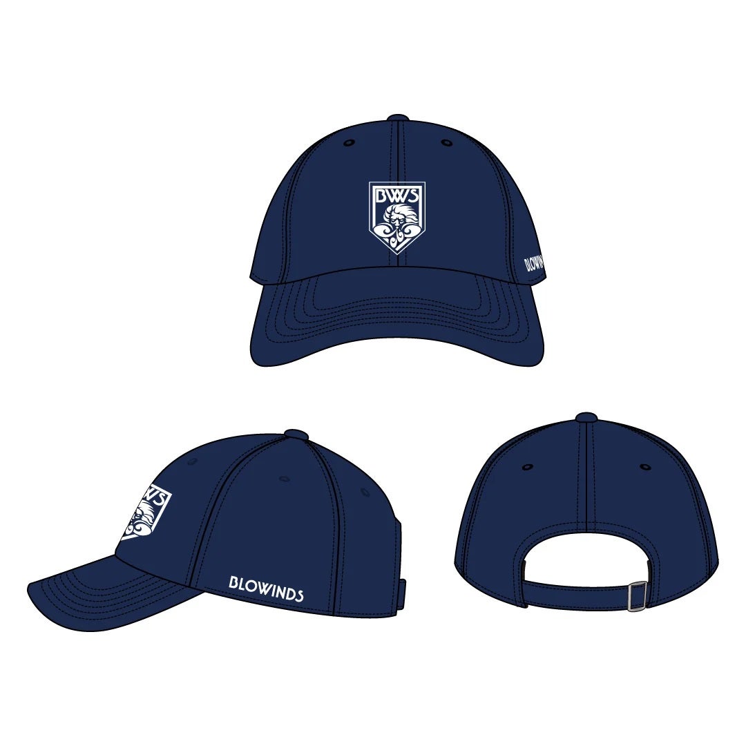 BLOWINDS WASHED LOW CAP