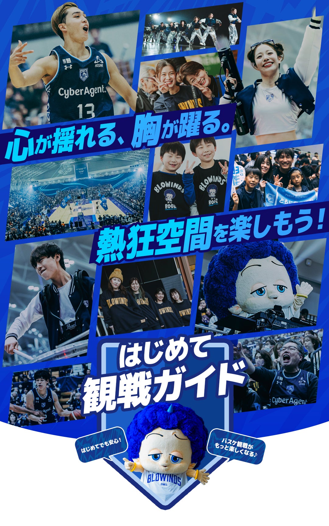 福井ブローウィンズ はじめての観戦ガイド